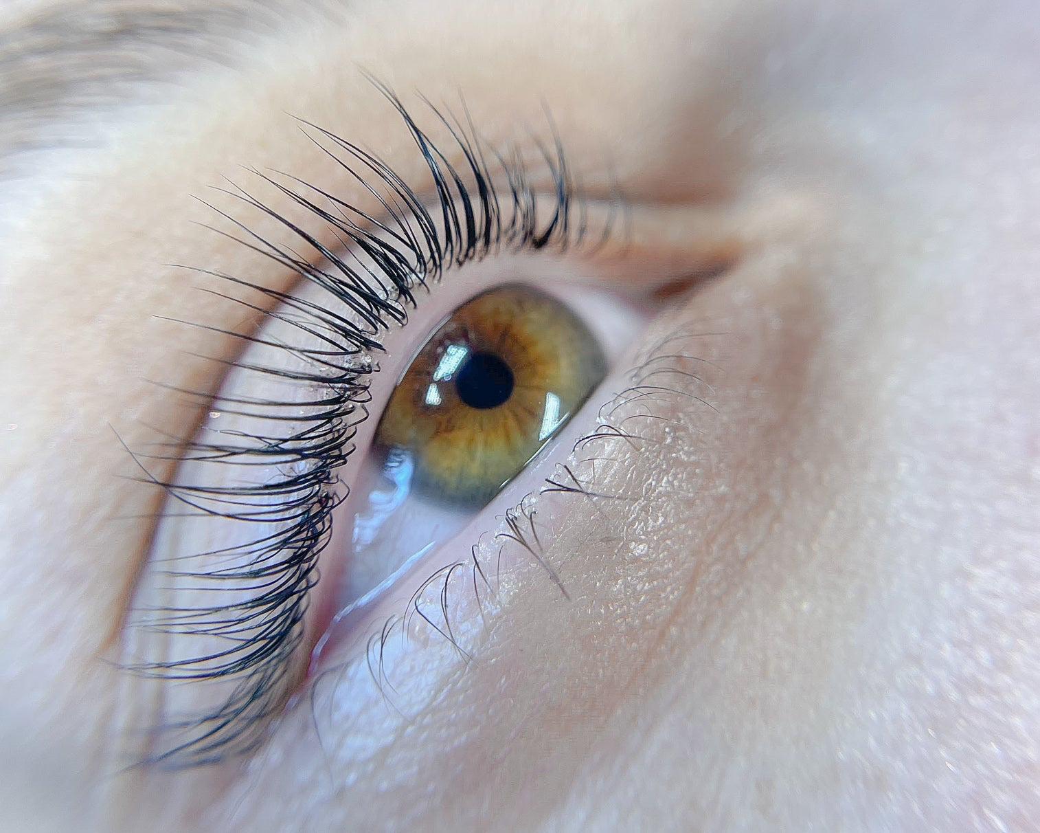 Formation en ligne Lash lift