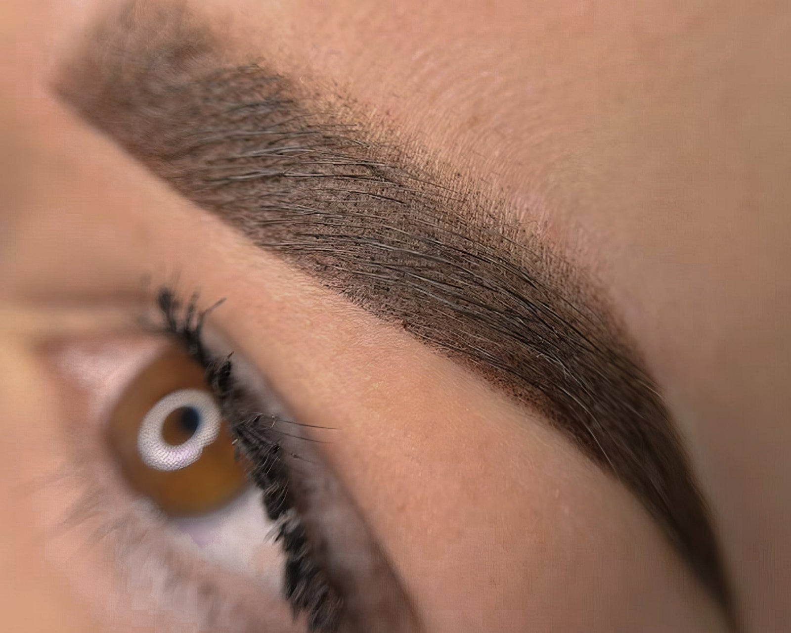 Formation en ligne Soft Brows